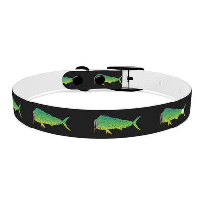 Mahi Dog Collar