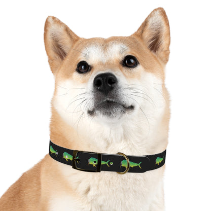 Mahi Dog Collar