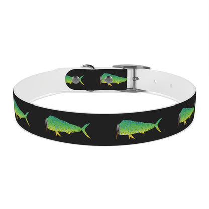 Mahi Dog Collar